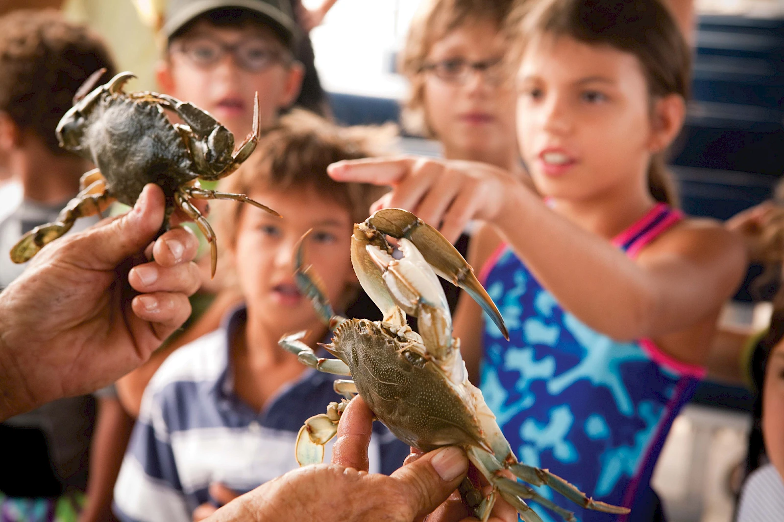 Does the Description feature work?  CRABS