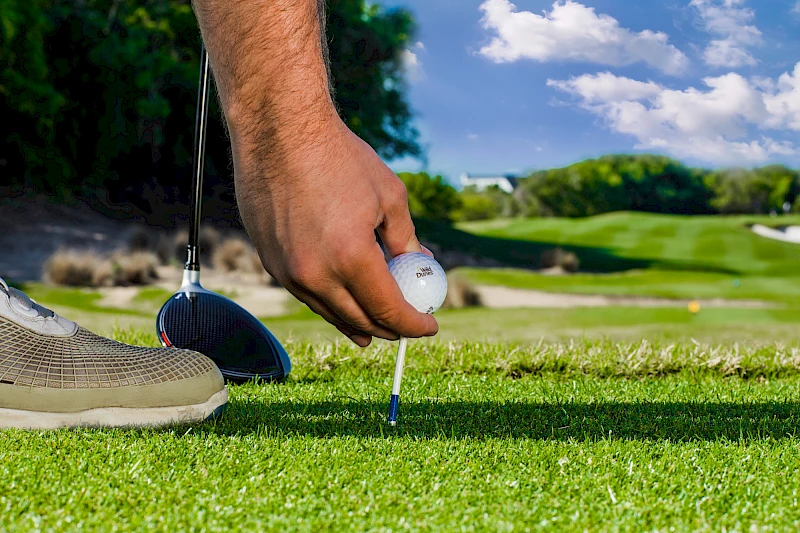 Drive for Show, Putt for Dough Clinic